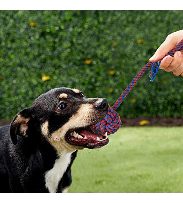 Puppy Chew Toys Teething Small Dog Rope Toys Bulk
